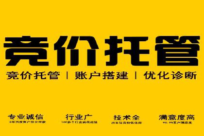 成功案例揭秘：SEM竞价培训在电商行业的运用